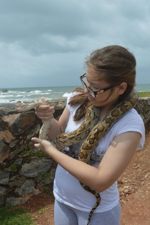 Discover Ceylon + Horton Plains 6 Days Tour - Daily Itinerary