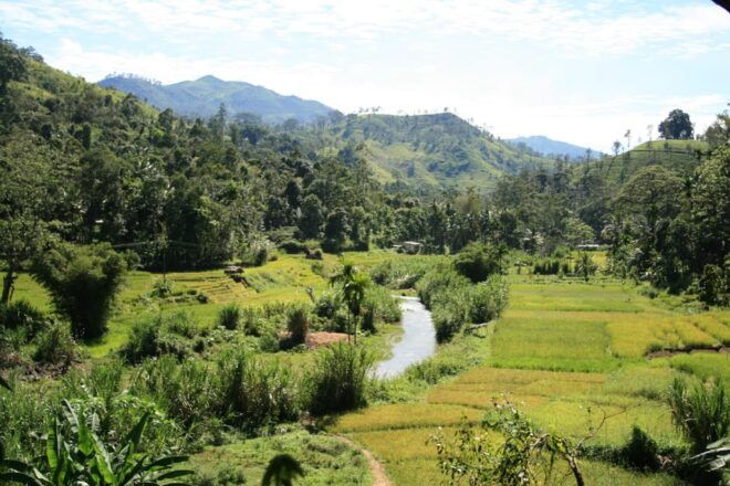 Discover Ceylon + Horton Plains 6 Days Tour - Climate and Packing Tips