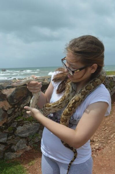 Discover Ceylon + Horton Plains 6 Days Tour - Frequently Asked Questions
