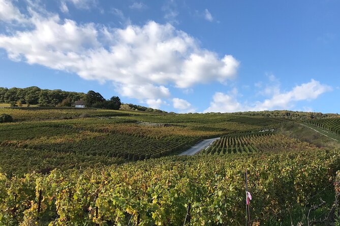 Discover Champagne in Half a Day in a Van - Van Transport and Comfort