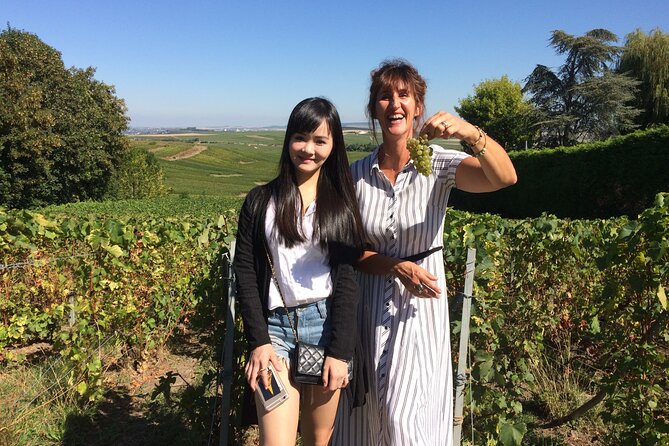 Discover Champagne in Half a Day in a Van - Champagne Tasting Experience