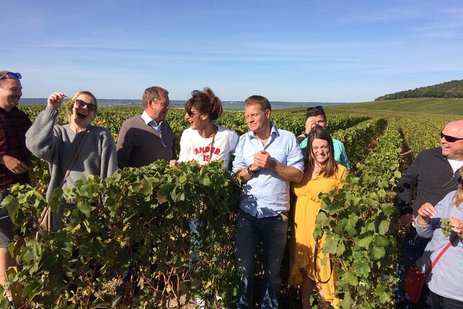 Discover Champagne in Half a Day in a Van - Booking Information and Tips