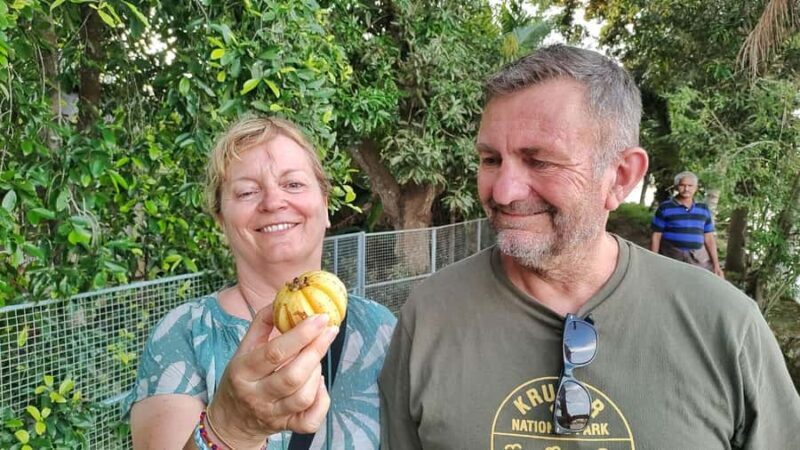 Discover Chennamkari: A Day In The Heart Of Alleppey - Final Thoughts: Who Is This Tour Best For?