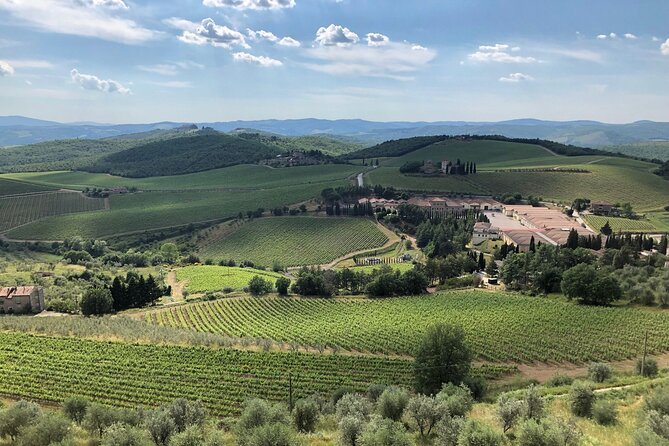 Discover Chianti Classico Wines DiWine Experience - Booking Information