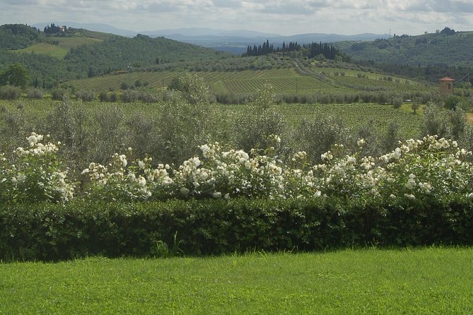 Discover Chianti Through Its Wines - Additional Information and Cancellation Policy
