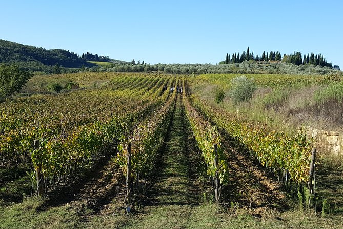 Discover Chianti Through Its Wines - The Sum Up