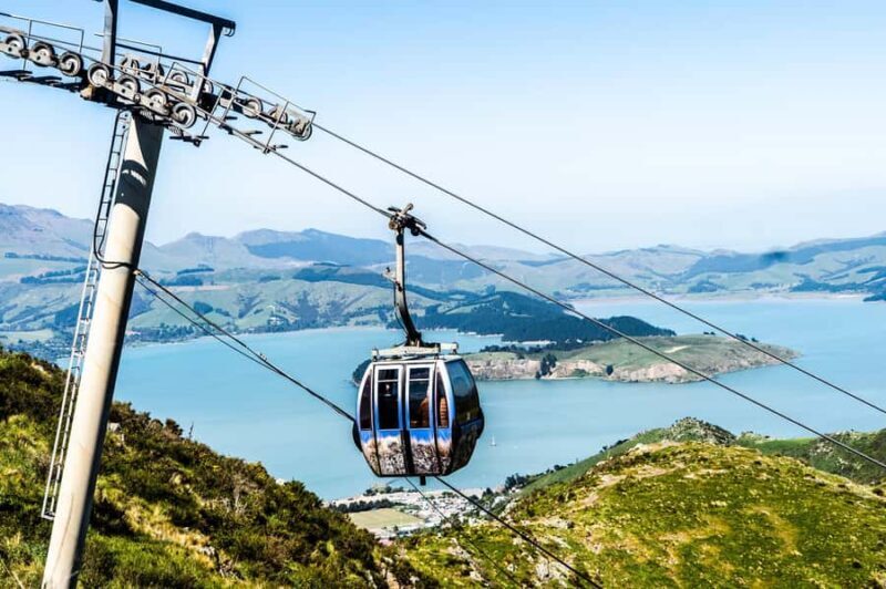 Discover Christchurch Tour with Lunch - Who Will Love This Tour?