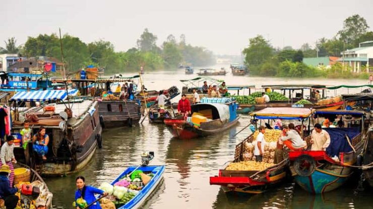 Discover Classic Mekong Delta 1 Day Tour - Good To Know