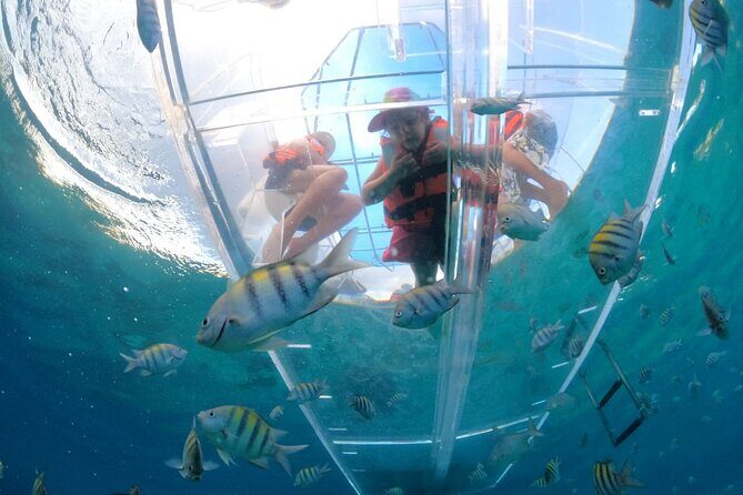 Discover Cozumel in a Transparent Boat! - Good To Know