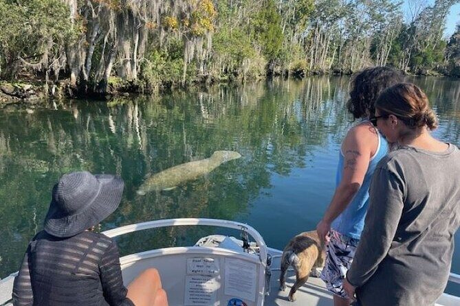 Discover Crystal River's Secrets with Private Boat Tour - Good To Know