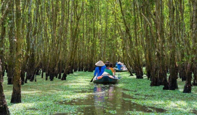 Discover Cu Chi Tunnels and Melong Delta 1 Day Tour From HCM - Pricing and Availability