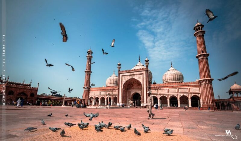 Discover Delhi in a Day: Private Tour with Comfort & Style - Introduction