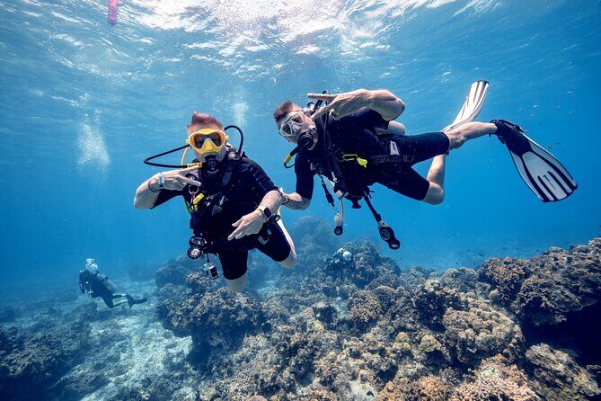 Discover Diving in the Reefs of Cozumel - An In-Depth Look at the Cozumel Discover Diving Tour