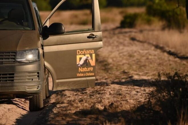 Discover Doñana & Iberian Lynx: Premium Nature Tour - Conservation Efforts for Iberian Lynx