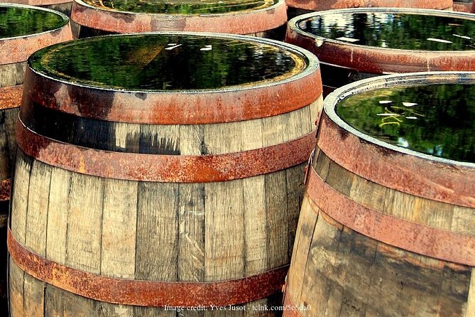 Discover Dublins Whiskey Distilleries: Private Tasting Tour - Tour Logistics