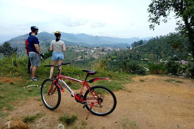 Discover Ella by Cycling - Final Thoughts: Is It Worth It?