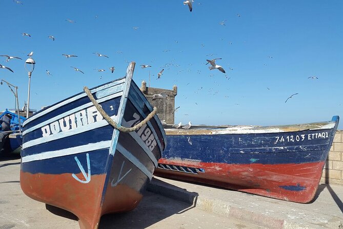 Discover Essaouira From Marrakech on a Private Day Trip - Itinerary Highlights