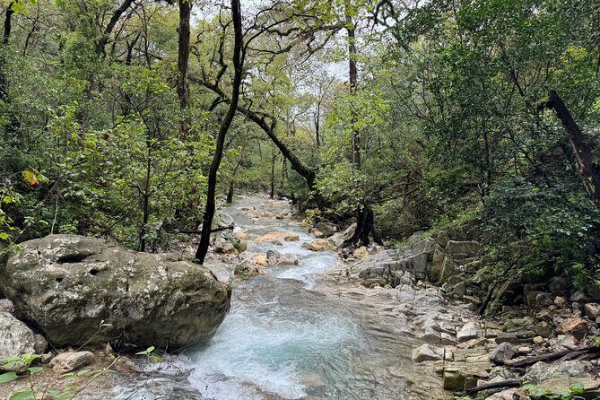 Discover Estanzuela Natural Park - The Itinerary: A 75-Minute Guided Walk