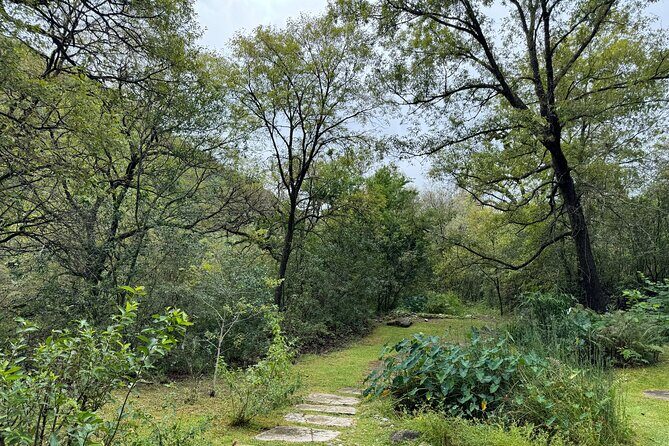 Discover Estanzuela Natural Park - Historical Landmarks and Scenic Stops