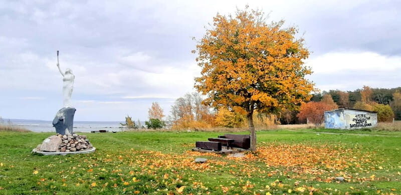 Discover Estonia-car tour from Tallinn to Keila-Joa Waterfal - Who Is This Tour Best For?