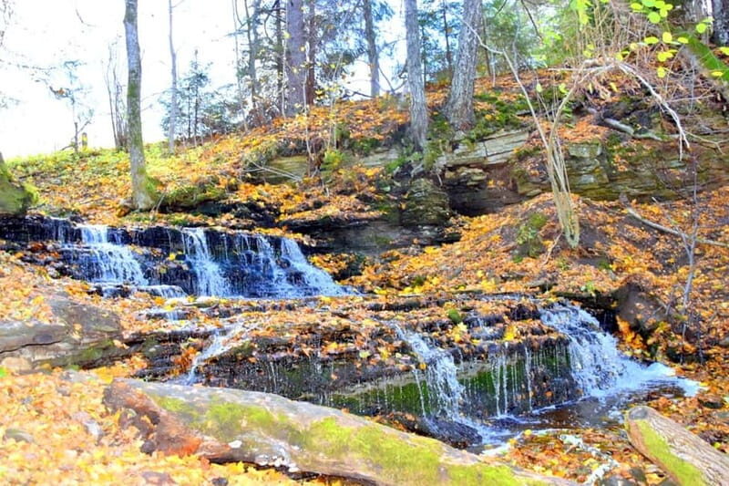 Discover Estoniatour to Lahemaa with waterfalls and nature. - Good To Know