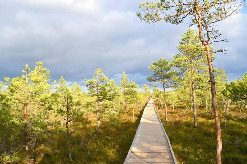 Discover Estoniatour to Lahemaa with waterfalls and nature. - An In-Depth Look at the Itinerary