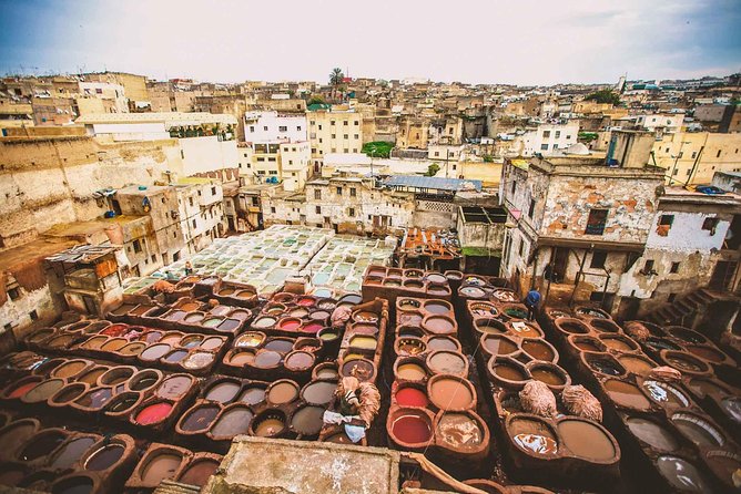 Discover Fez With a Professional Tour Guide Once in a Life Time Experience - Highlights of Fez Tour Experience