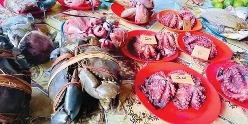 Discover Fijian Culture and Reptiles - Who Is This Tour Best For?