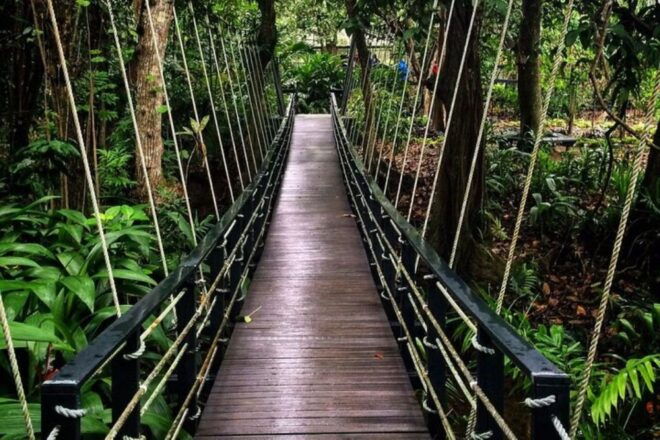 Discover Fijian Culture and Reptiles - Wildlife Encounters at Kula Eco Park