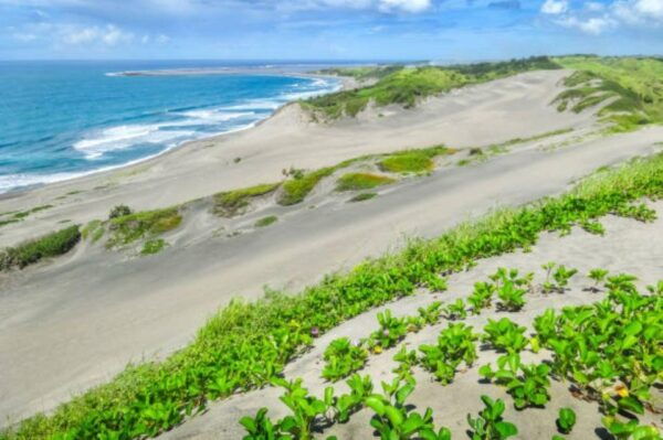 Discover Fijian Culture and Reptiles - The Sum Up