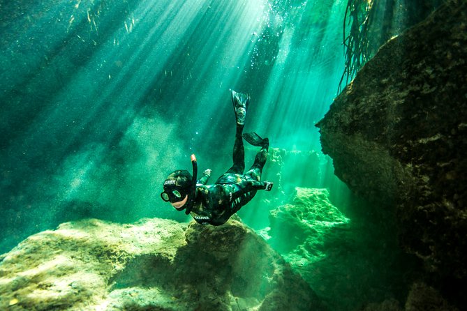 Discover Freediving in a Cenote in Tulum Mexico - Overview and Experience