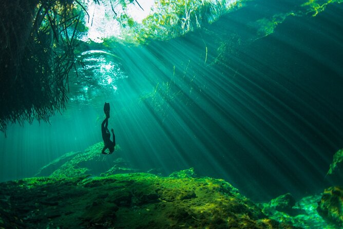 Discover Freediving in a Cenote in Tulum Mexico - Directions