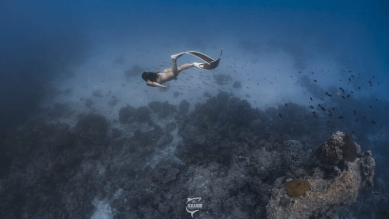 Discover Freediving in Boracay - Good To Know