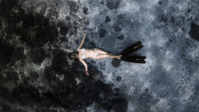 Discover Freediving in Boracay - An In-Depth Look at the Experience