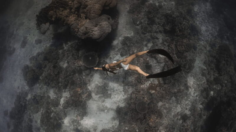 Discover Freediving in Boracay - Final Thoughts