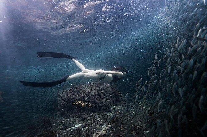 Discover Freediving One Amazing Day - Final Thoughts