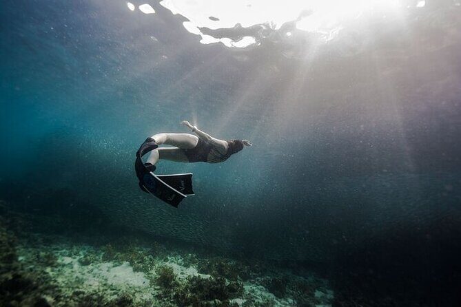 Discover Freediving One Amazing Day - What Is the Experience Like?
