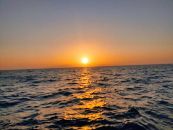 Discover Freedom: Rent a Boat, No License Required! - How to Reserve