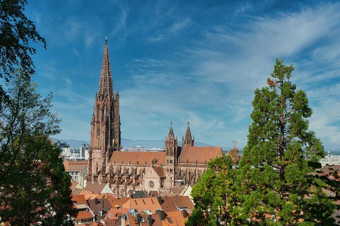 Discover Freiburg Private Walking Tour - Authentic Experiences From Past Participants