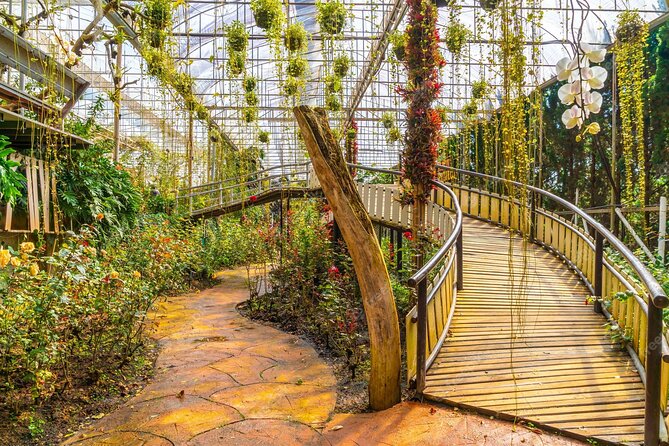 Discover Full Day Tour Doi Inthanon National Park From Chiang Mai - Booking Information