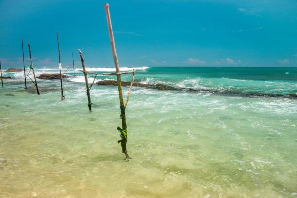 Discover Galle: Heritage Sites and Nature Sanctuaries Tour - Tsunami Education Center