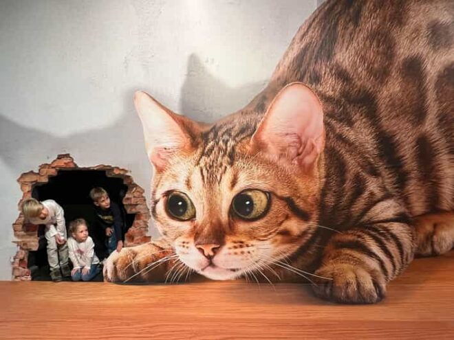 Discover Germanys Most Exciting Photo Illusion World! - Unique Experiences