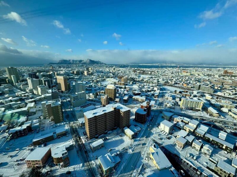 Discover Hakodate: Nature, History & Night View Day Tour - Why This Tour Suits Certain Travelers Best