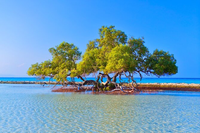 Discover Hamata Island With Snorkeling - Inclusions and Fees