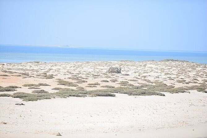 Discover Hamata Island With Snorkeling - Booking Process