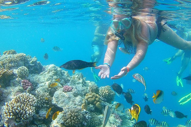Discover Hamata & Qulaan Islands Snorkeling Sea Trip With Lunch - Marsa Alam - Location Details