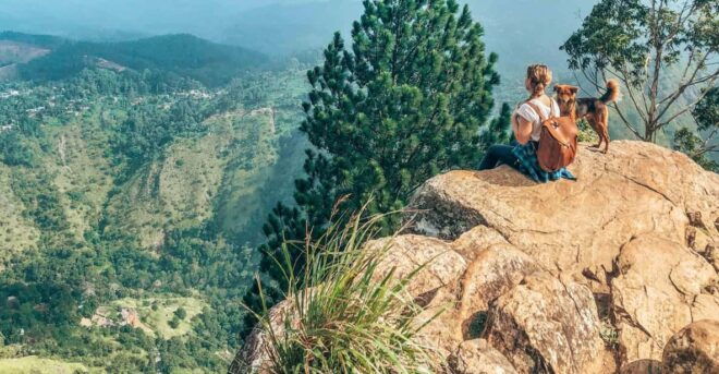 Discover HAPUTALE in a Day: Excursions From Galle,Yala,Kandy - Comfortable Travel Experience