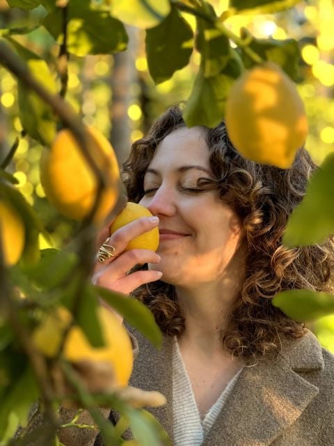 Discover, Harvest & Taste Sorrento Lemons - Good To Know