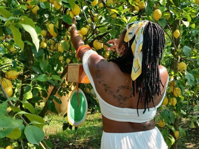 Discover, Harvest & Taste Sorrento Lemons - Citrus Haven Exploration