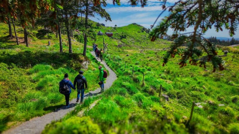 Discover Haugesund and visit a local mountain farmer - Good To Know